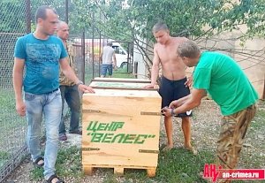 В «Тайгане» увеличилось число «питерских»