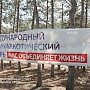 Депутаты Государственной Думы посетили Международный антинаркотический лагерь «Нас объединяет жизнь»