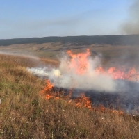 Не допустить загорания сухой растительности