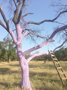 Поэты и художники соберутся в парке на Учкуевке