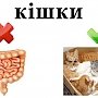 Павза, лавреат, спортовка: на Украине никто не знает, как правильно говорить по-украински