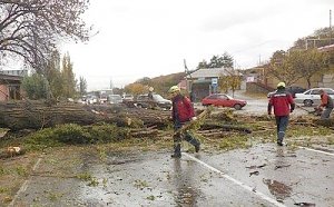 Спасателям пришлось пилить деревья, чтобы расчистить дорогу