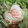 В евпаторийской галерее «theHARASHO» откроется выставка newborn-фотографии