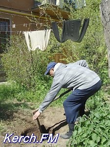 Керчане задыхаются от запаха канализации в доме