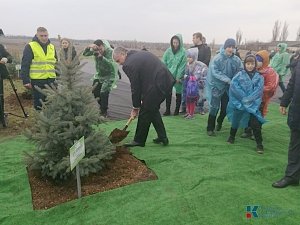 Министры и главы комитетов высадили в Симферопольском районе ёлки в память о погибших во времена ВОВ