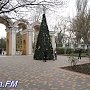 Керчанам предлагают украсить елку в Молодежном парке самодельными игрушками