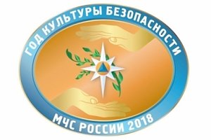 2018 год объявлен в МЧС России Годом культуры безопасности