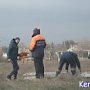 В Керчи спасли собаку, которая упала в шестиметровую яму