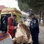 В Алуште чуть не утонули двое «моржей»