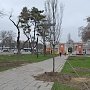 Автор проекта озеленения уверил симферопольцев в правильной высадке деревьев в Екатерининском саду