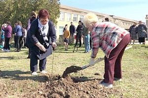 В Тепловке отныне есть Аллея героев