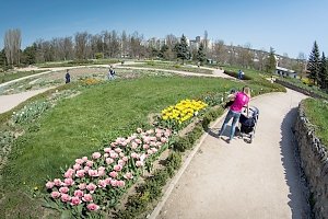 Парад тюльпанов на Большой поляне