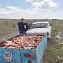 На закрытом полигоне ТКО в Симферополя поймали нарушителей, сбрасывавших биологические отходы