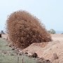 В Севастополе в районе аэродрома «Бельбек» обезврежена немецкая авиабомба «SD — 50» времен Великой Отечественной войны