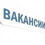 На одного безработного в Крыму имеется три вакансии, — Пашкунова