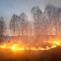 В Крыму сохраняется высокая пожароопасность