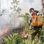 К концу дня обстановка на пожаре должна быть стабилизирована, — замглавы администрации Ялты