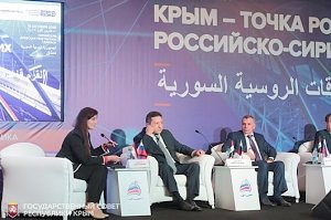 Владимир Константинов: Все договоренности о сотрудничестве с Сирийской Арабской Республикой должны быть наполнены реальным содержанием