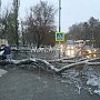 В Керчи упало дерево и перегородило тротуар