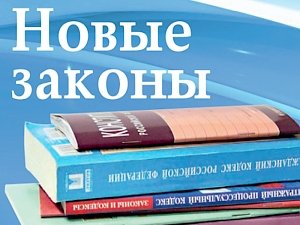 Какие законы вступают в силу в 2019 году