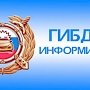 Автошколам сократили сроки согласования программ и выдачу заключений