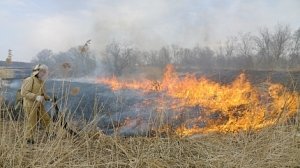 Крымские спасатели продолжают ликвидацию возгорания сухого камыша