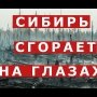 Сибирские леса горят. Люди задыхаются. Анатолий Быков о том, почему леса не пытаются тушить?