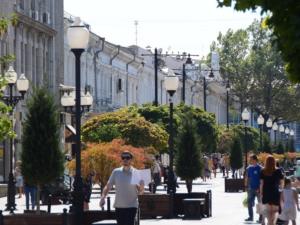 Ампельные петунии отцвели в центре Симферополя