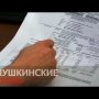 Специальный репортаж "Пушкинские схемы"