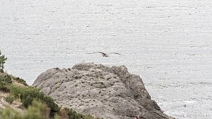 В Крыму ухудшается качество морской воды