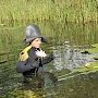 Зеленский вылетает в Очаков торжественно встречать возвращённые катера