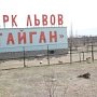 Деятельность парка львов «Тайган» приостановлена судом