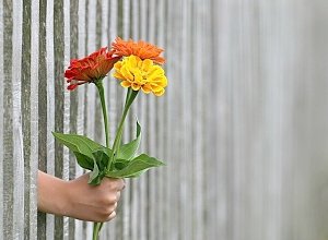 Не подвести под статью: что нужно помнить о подарках для госслужащих