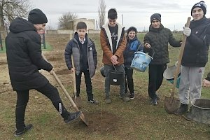 В Джанкойском районе высадили 450 саженцев молодых деревьев