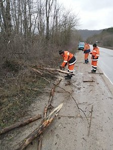 В Крыму ликвидируют последствия урагана