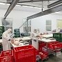 В Крыму существенно увеличили производство продуктов питания