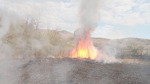 В Щебетовке поймали парней, чей костер привел к лесному пожару