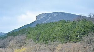 В Крыму ввели ограничение на посещение лесов